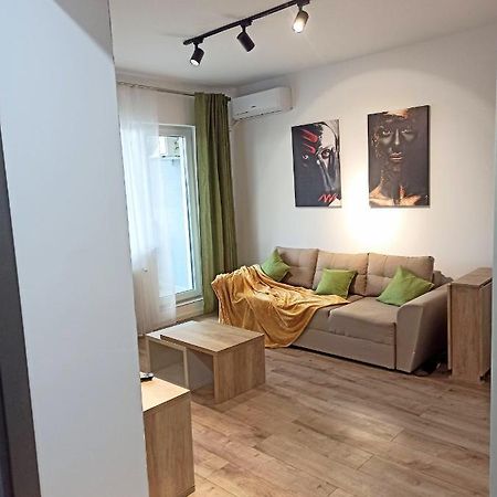 Stylish, Modern 2 Rooms Flat With River View, Near Presidential Palace Bükreş Dış mekan fotoğraf